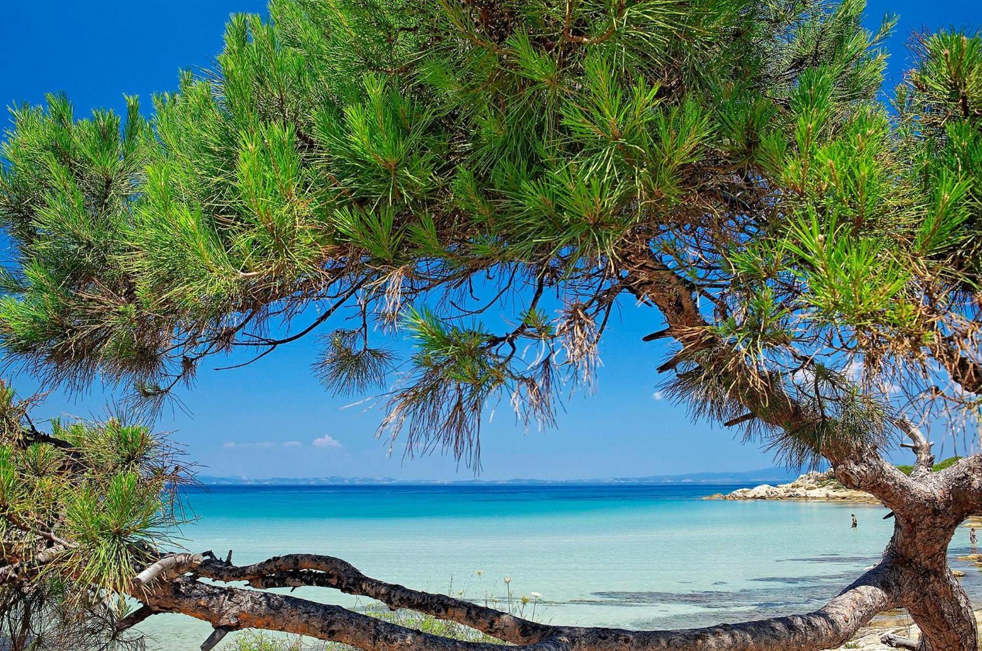 Ikos Olivia Hotel Gerakini Buitenkant foto
